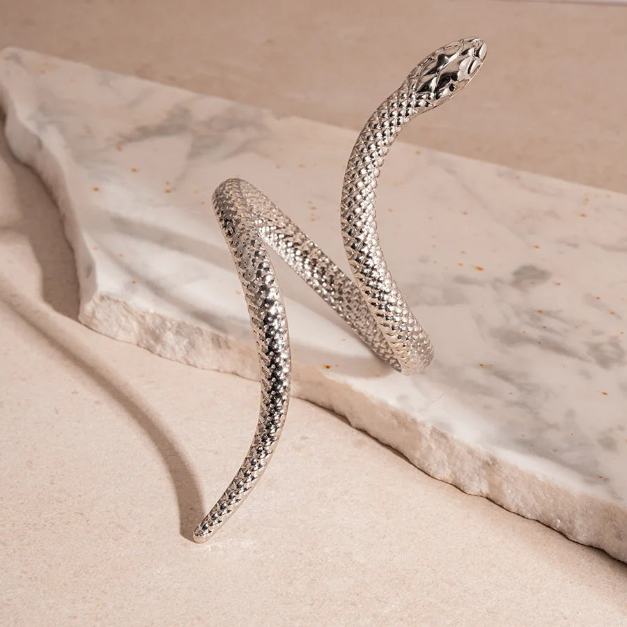 Coiled Serpent Cuff Set