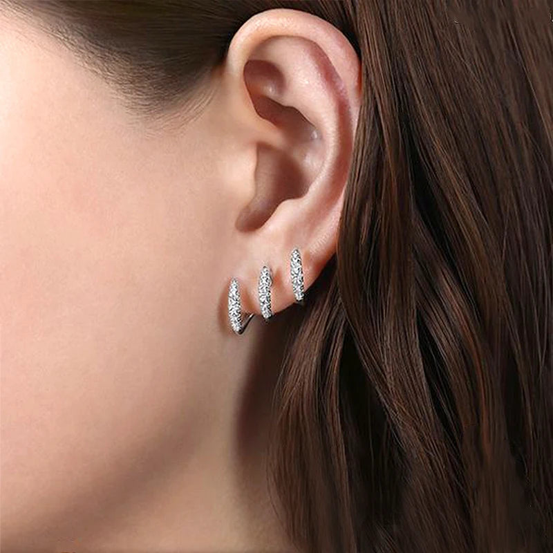 Silver Claw Crystal Earrings